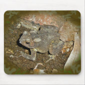 Common Toad Coordinating Items Muismat (Voorkant)