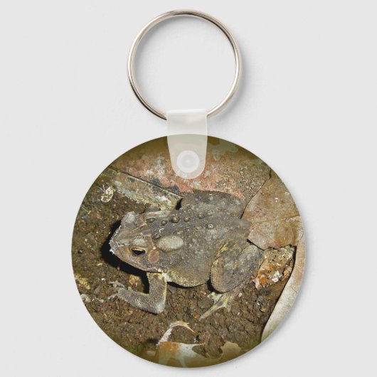 Common Toad Coordinating Items Sleutelhanger (Voorkant)