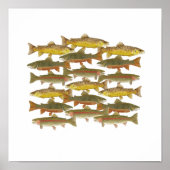 Common Trout Art Poster (Voorkant)