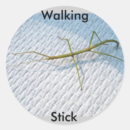 Common Walking tick (Diapheromera femorata) Items Ronde Sticker (Voorkant)