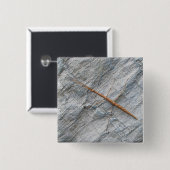 Common Walking tick (Diapheromera femorata) Items Vierkante Button 5,1 Cm (Voorkant /achterkant)