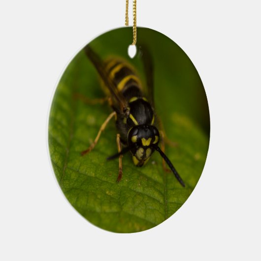Common Wasp Keramisch Ornament (Rechts)