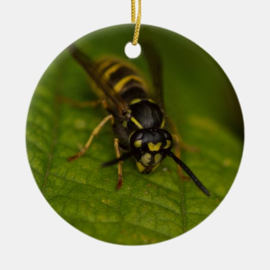 Common Wasp Keramisch Ornament (Voorkant)