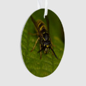 Common Wasp Ornament (voorkant)
