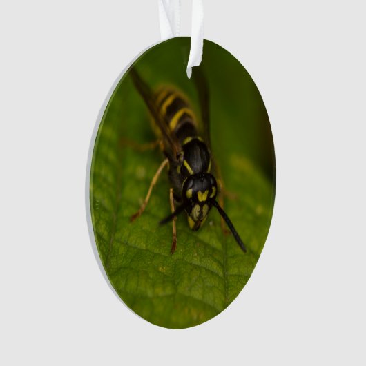 Common Wasp Ornament (voorkant)