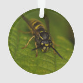Common Wasp Ornament (achterkant)