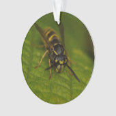 Common Wasp Ornament (voorkant)