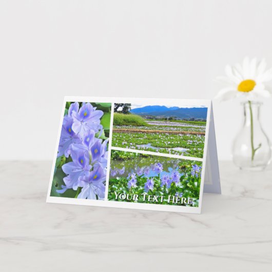 Common Water Hyacinth Kaart (Kleine Plant)