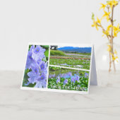 Common Water Hyacinth Kaart (Gele Bloem)