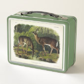 Common (White-tailed) Deer - Audubon Quadrupeds (Achterkant)