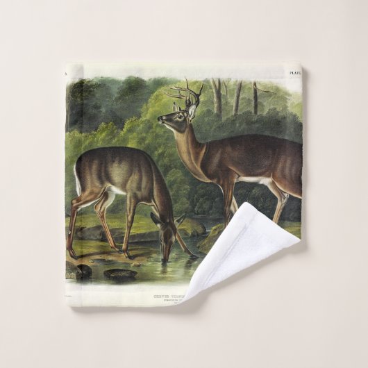 Common (White-tailed) Deer - Audubon Quadrupeds Bad Handdoek (Wasdoekje)