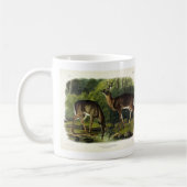 Common (White-tailed) Deer - Audubon Quadrupeds Koffiemok (Links)