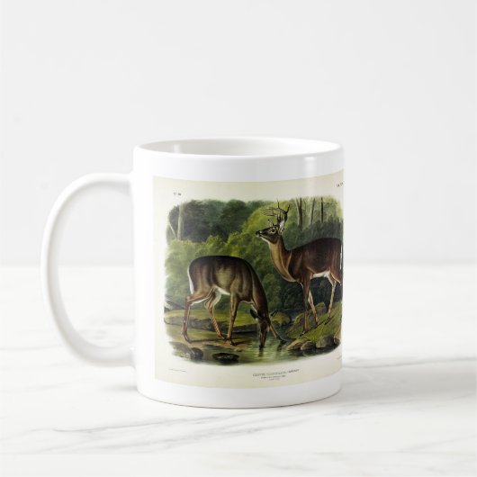 Common (White-tailed) Deer - Audubon Quadrupeds Koffiemok (Links)