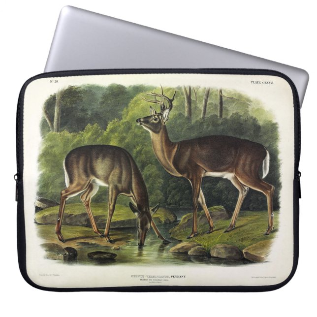Common (White-tailed) Deer - Audubon Quadrupeds Laptop Sleeve (Voorkant)