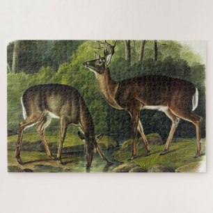 Common (White-tailed) Deer - Audubon Quadrupeds Legpuzzel