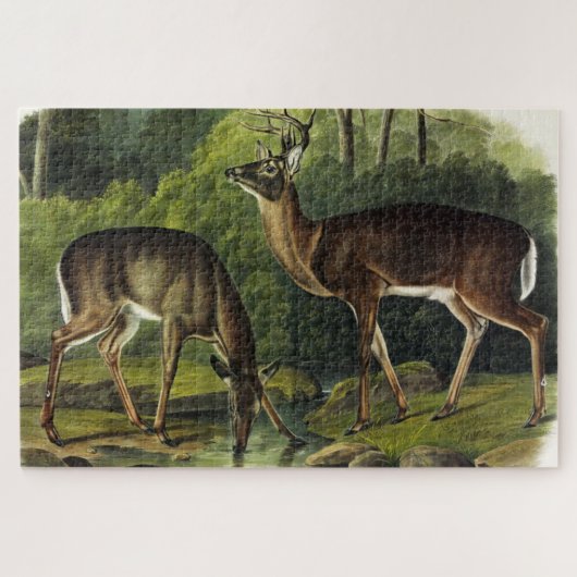 Common (White-tailed) Deer - Audubon Quadrupeds Legpuzzel (Horizontaal)