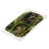 Common (White-tailed) Deer - Audubon Quadrupeds Magneet (Linkerzijde)