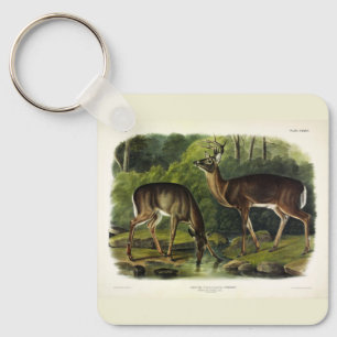 Common (White-tailed) Deer - Audubon Quadrupeds Sleutelhanger