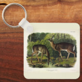 Common (White-tailed) Deer - Audubon Quadrupeds Sleutelhanger (Voorkant)