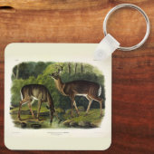 Common (White-tailed) Deer - Audubon Quadrupeds Sleutelhanger (Achterkant)