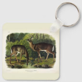 Common (White-tailed) Deer - Audubon Quadrupeds Sleutelhanger (Achterkant)