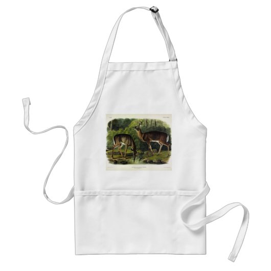 Common (White-tailed) Deer - Audubon Quadrupeds Standaard Schort (Voorkant)