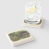 Common (White-tailed) Deer - Audubon Quadrupeds Stenen Onderzetter (Zijkant)