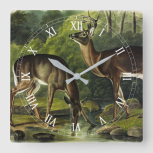 Common (White-tailed) Deer - Audubon Quadrupeds Vierkante Klok