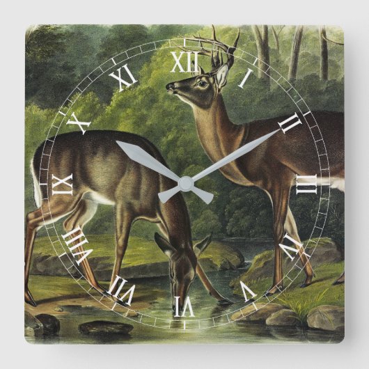 Common (White-tailed) Deer - Audubon Quadrupeds Vierkante Klok (Voorkant)