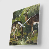 Common (White-tailed) Deer - Audubon Quadrupeds Vierkante Klok (Hoek)