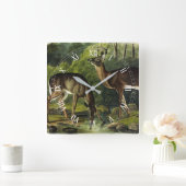 Common (White-tailed) Deer - Audubon Quadrupeds Vierkante Klok (Huis)