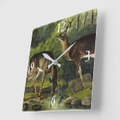 Common (White-tailed) Deer - Audubon Quadrupeds Vierkante Klok (Hoek)