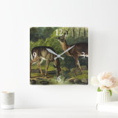 Common (White-tailed) Deer - Audubon Quadrupeds Vierkante Klok (Huis)