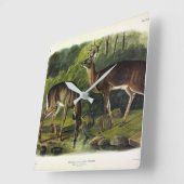 Common (White-tailed) Deer - Audubon Quadrupeds Vierkante Klok (Hoek)
