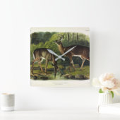 Common (White-tailed) Deer - Audubon Quadrupeds Vierkante Klok (Huis)