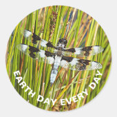 Common Whitetail Dragonfly Photo Earth Day Ronde Sticker (Voorkant)