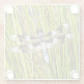 Common Whitetail Skimmer Dragonfly Foto Glazen Onderzetter (Achterkant)