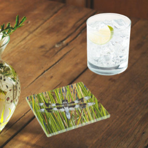 Common Whitetail Skimmer Dragonfly Foto Glazen Onderzetter