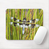 Common Whitetail Skimmer Dragonfly Foto Muismat (Met muis)