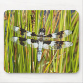 Common Whitetail Skimmer Dragonfly Foto Muismat (Voorkant)