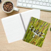 Common Whitetail Skimmer Dragonfly Foto Notitieboek