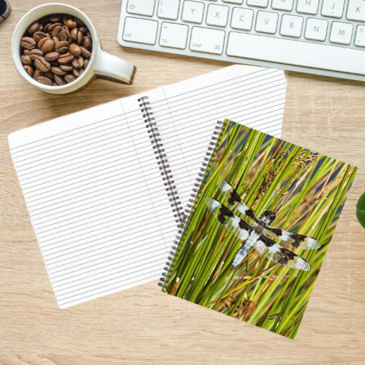 Common Whitetail Skimmer Dragonfly Foto Notitieboek