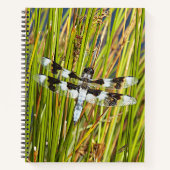 Common Whitetail Skimmer Dragonfly Foto Notitieboek (Voorkant)