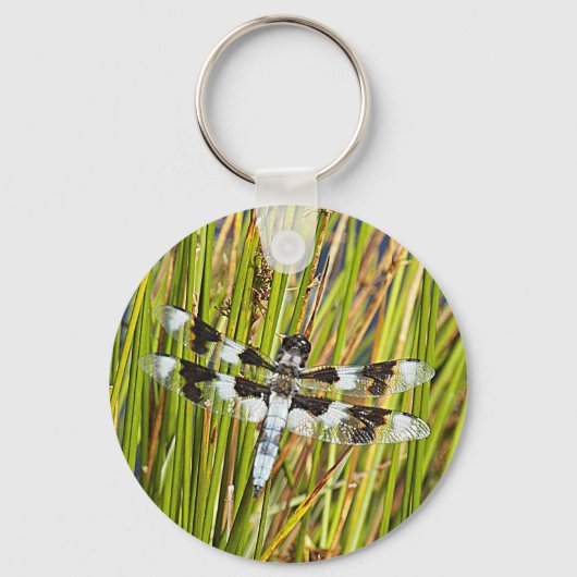 Common Whitetail Skimmer Dragonfly Foto Sleutelhanger (Voorkant)