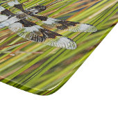 Common Whitetail Skimmer Dragonfly Foto Snijplank (Hoek)