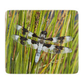 Common Whitetail Skimmer Dragonfly Foto Snijplank (Voorkant)