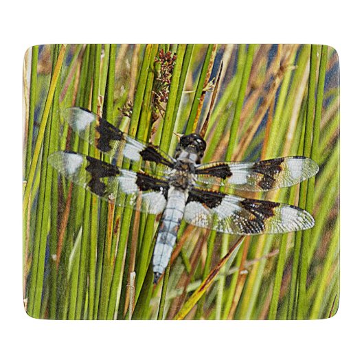 Common Whitetail Skimmer Dragonfly Foto Snijplank (Voorkant)