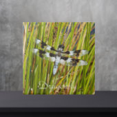 Common Whitetail Skimmer Dragonfly Foto Tegeltje