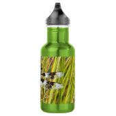 Common Whitetail Skimmer Dragonfly Foto Waterfles (Rechts)