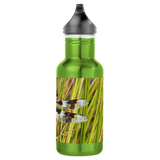 Common Whitetail Skimmer Dragonfly Foto Waterfles (Rechts)